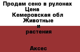Продам сено в рулонах. › Цена ­ 700 - Кемеровская обл. Животные и растения » Аксесcуары и товары для животных   